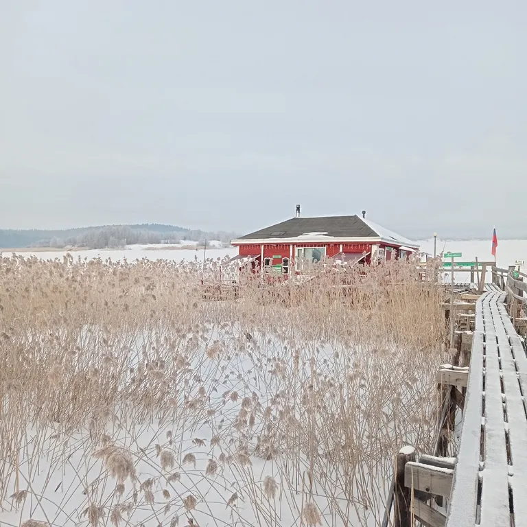 Современный дом на берегу Ладоги