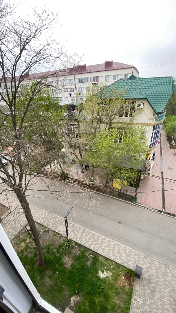 вид во двор