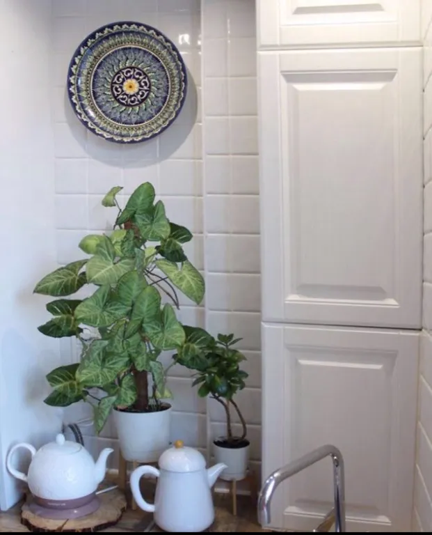 Квартира у леса