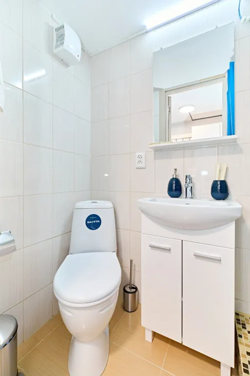 Студия на Петроградской стороне