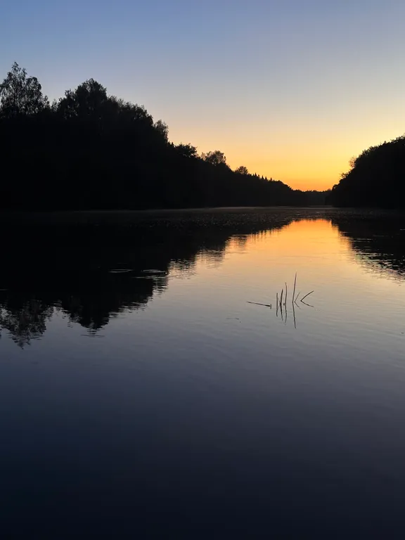 Дом в стиле a-frame в лесу в 10 км от Смоленска рядом с р. Днепр