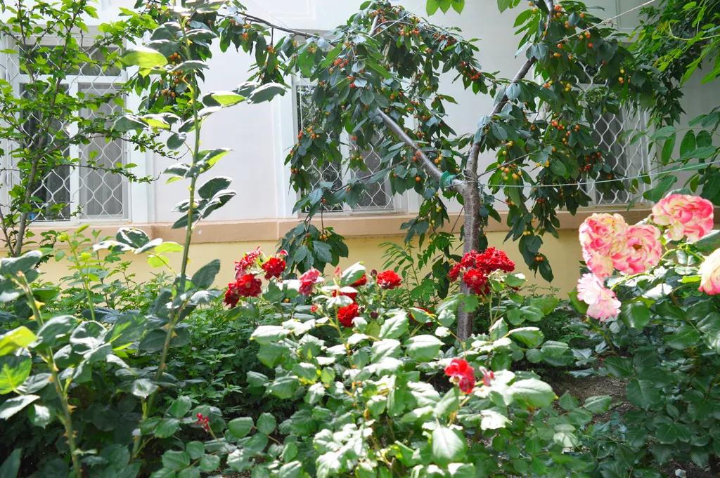 Дом для семейного отдыха у моря