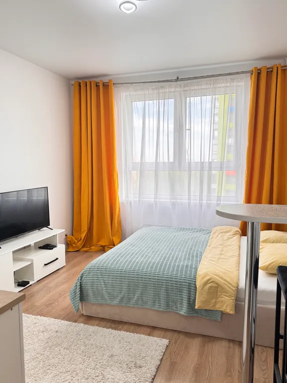 Уютная студия с красивым видом