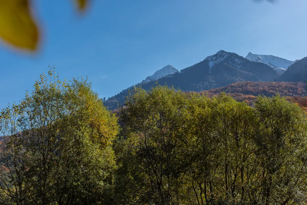 Квартира с видом на горы