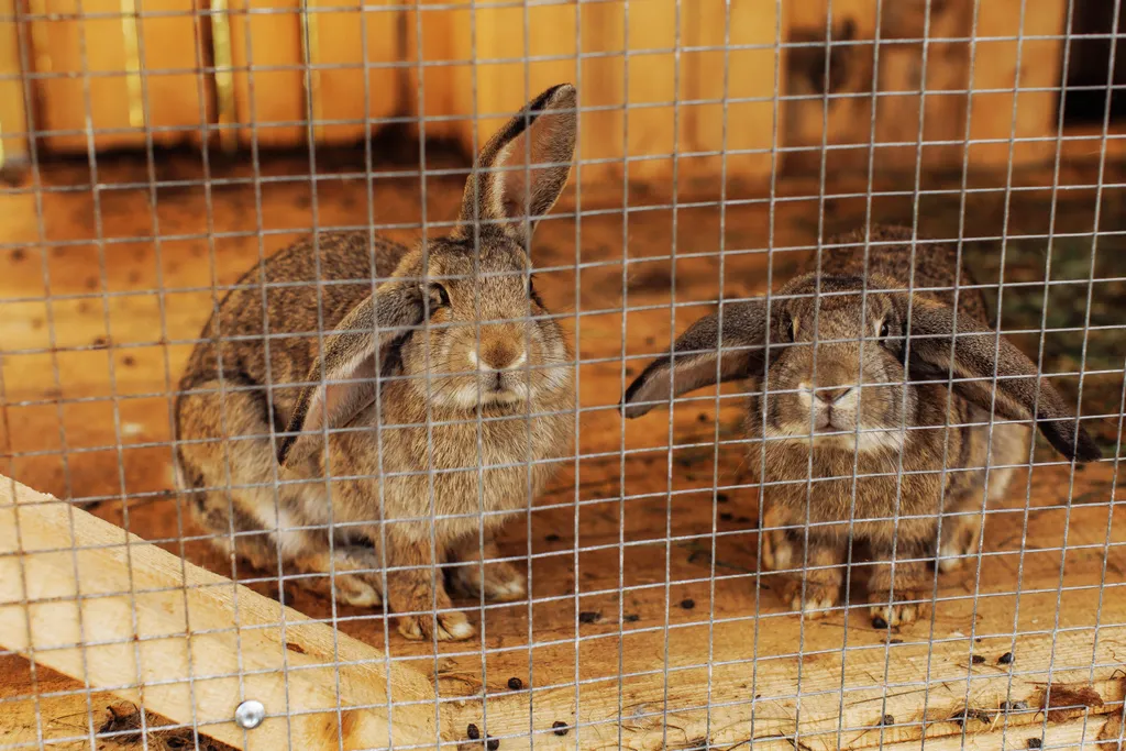 Уютные дома для компании и большой семьи на берегу Волги