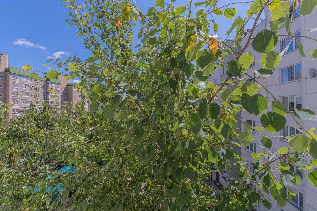 Квартира в Южном Всеволожске