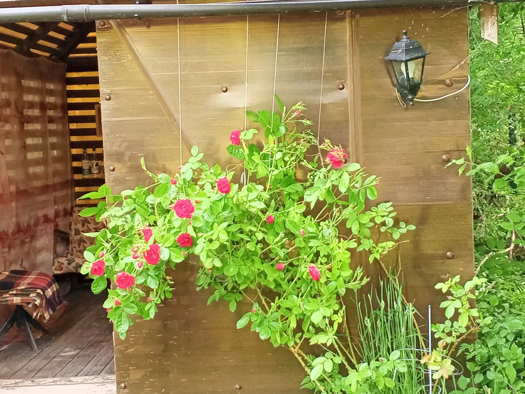 Коттедж Дом на Куршской косе — Рыбачий