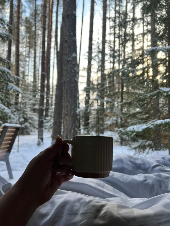 Домик с видом на лес с купелью