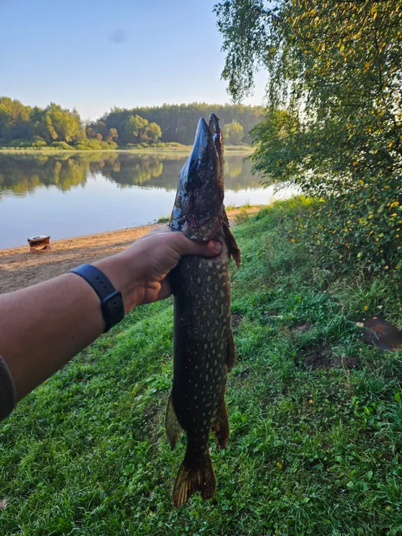 Коттедж Уютный комфортный дом в тихом романтичном месте — Таблово
