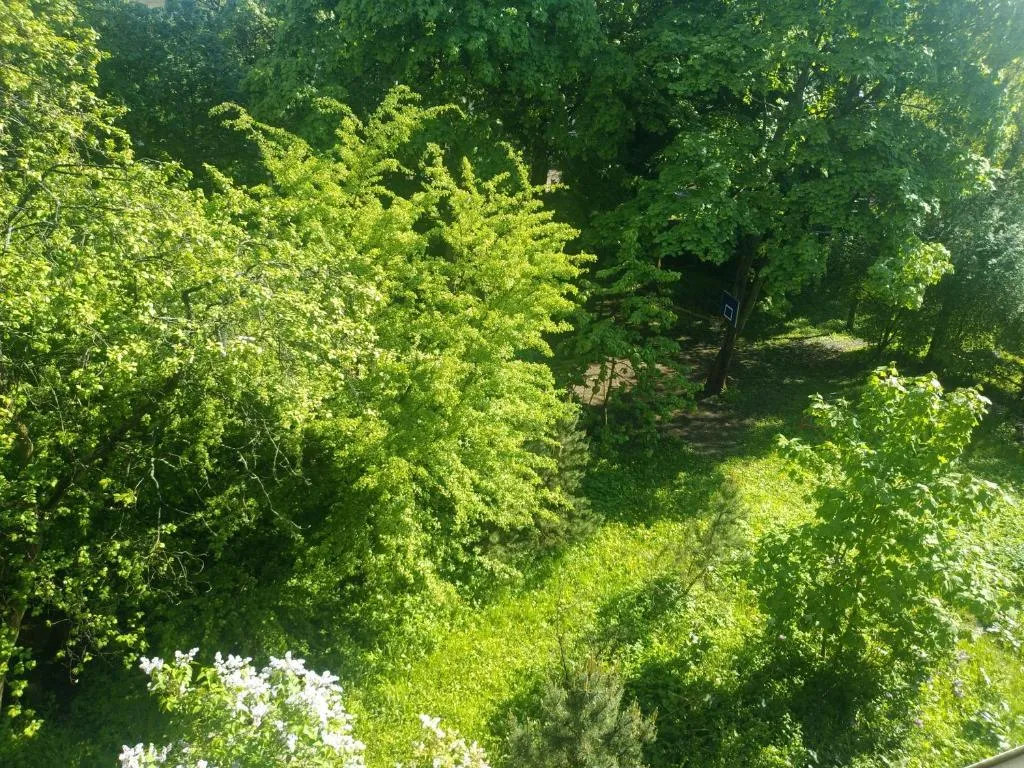 Квартира Апартаменты Амалиенау — Калининград