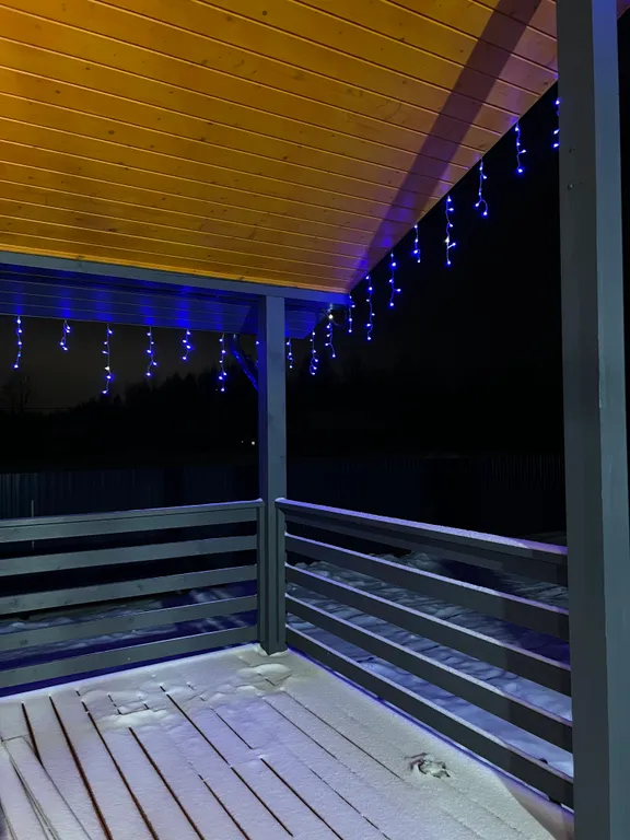 Дом с видом на лес