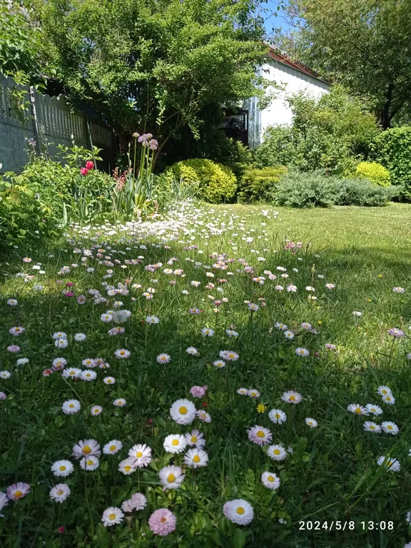 Уютный новый дом недалеко от центра