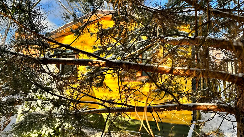 Коттедж Коттедж Курортное шале в писательском Переделкино — Москва