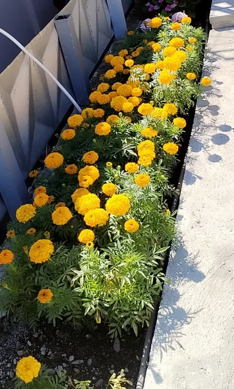 Этаж под ключ у моря в Вардане