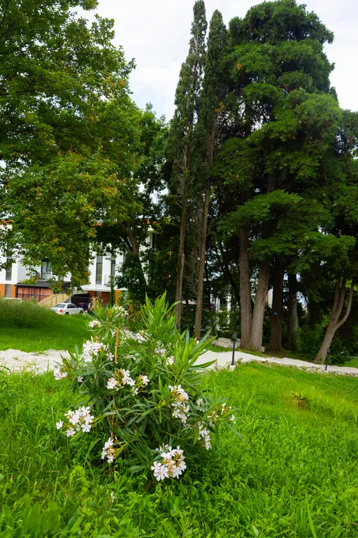 Квартира Квартира Апартамент с видом на море — Адлер