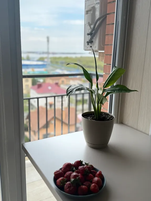 Чистая и уютная квартира с видом на Волгу и на остров