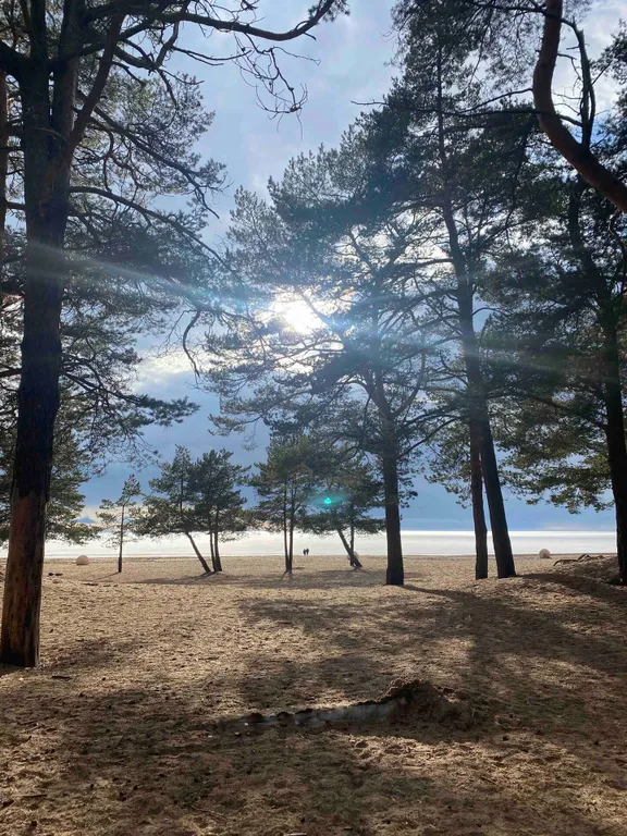 Квартира на берегу Финского залива в ЖК Светлый Мир