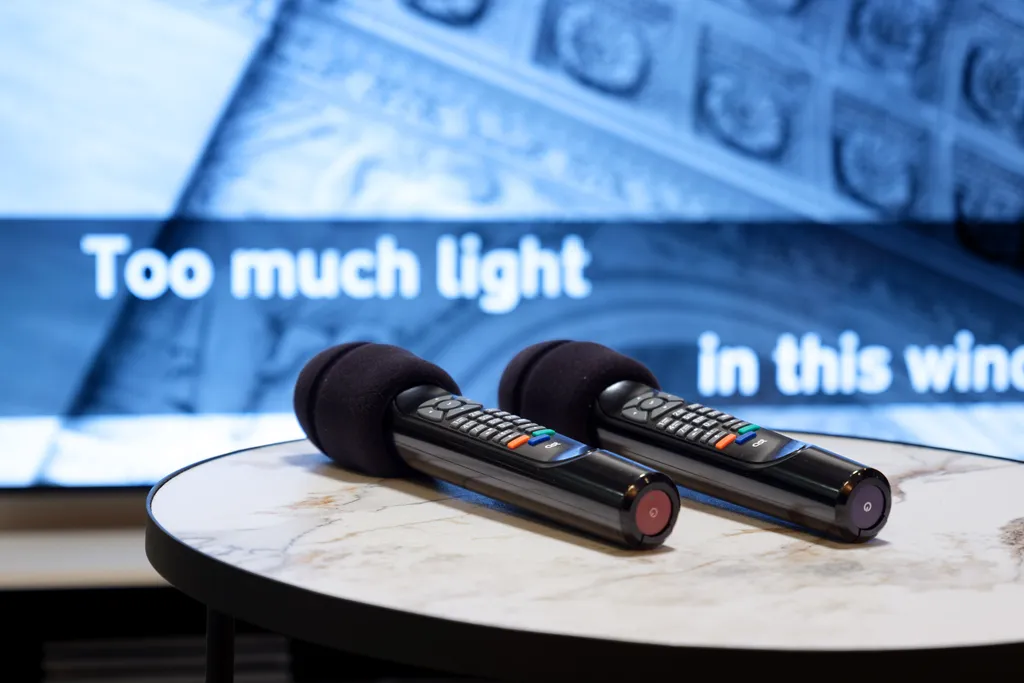 Апарт для мероприятий с караоке и playstation