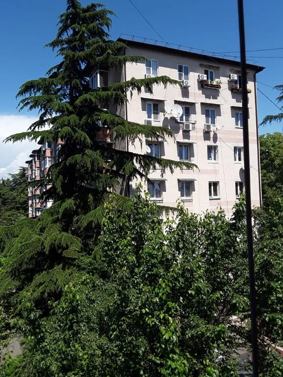 Квартира Уютная квартира в историческом центре — Сочи