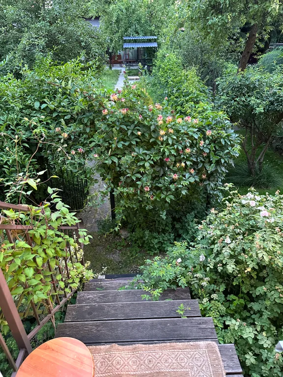 Квартира Уютная квартира в центре Амалиенау с выходом в сад — Калининград