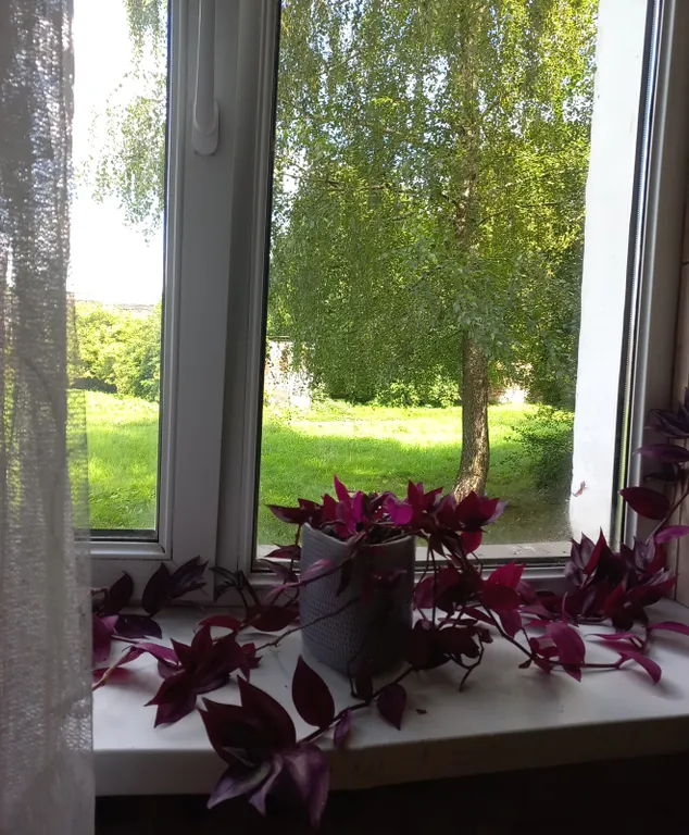 Просторная и уютная квартира в стиле восточной Пруссии