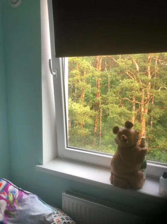 Квартира Квартира Гнёздышко у озера — Светлогорск