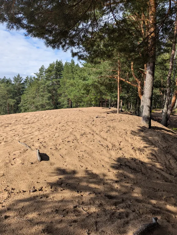 Апартаменты на пляже финского залива