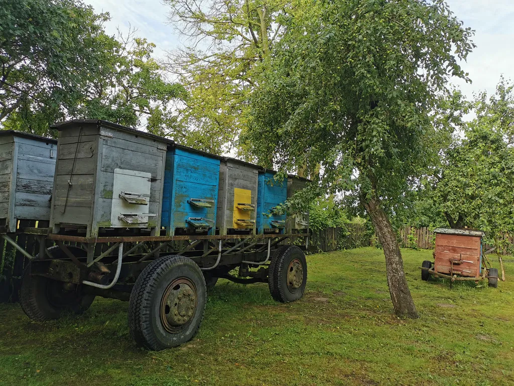 Агроусадьба в хуторской тиши с камином, сеновалом и сном на пчелах