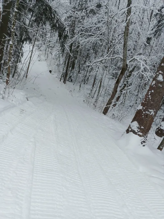 Коттедж Домик в деревне "в гостях у Молли" — Волосово