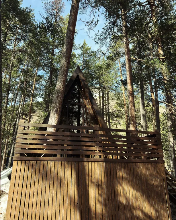 The Nest Гнездышко