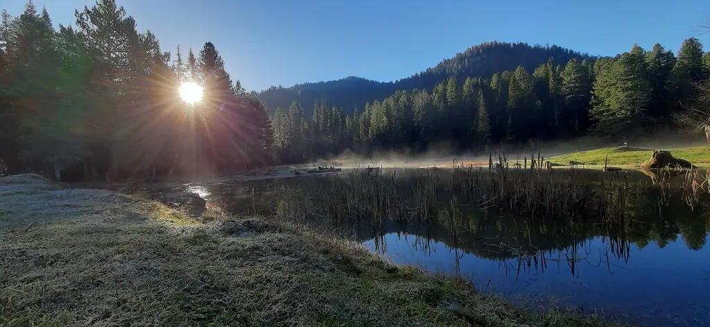Гостевой дом Белый олень на Телецком озере