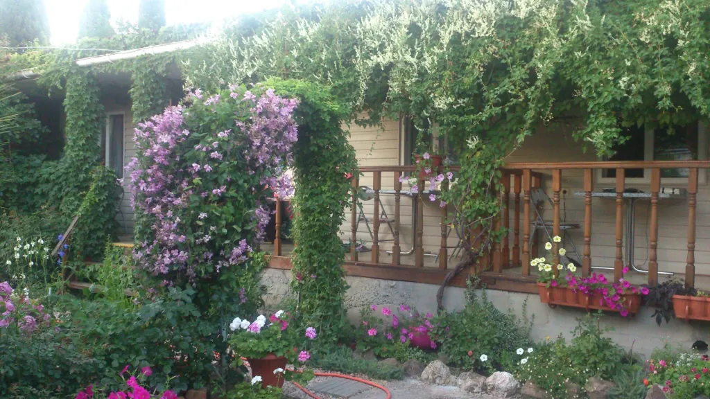 Уютный домик в цветах у Людмилы