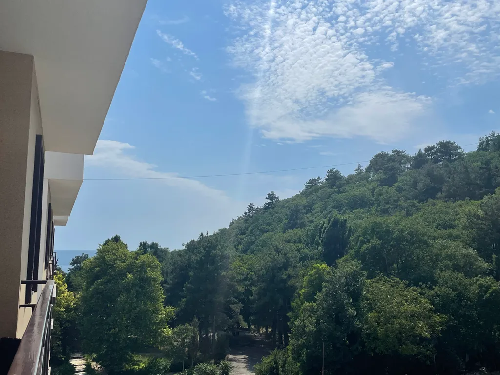 Комфортный отдых у моря