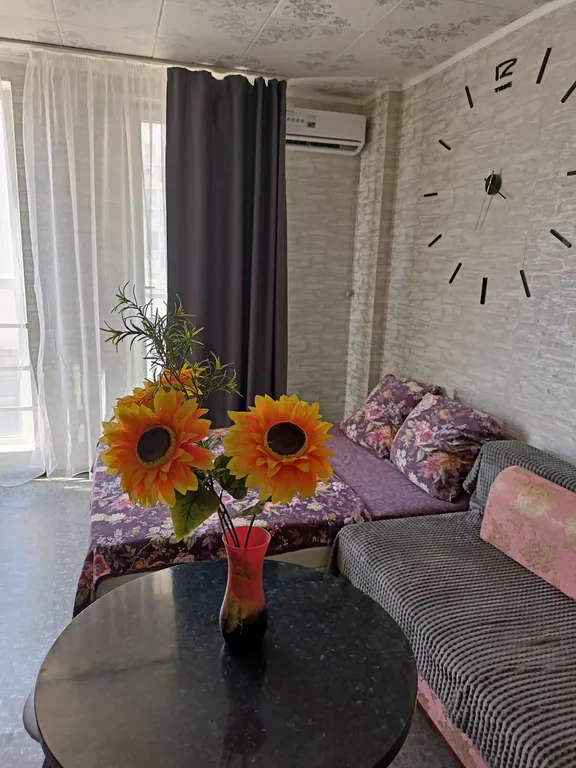 Студия в Новом свете