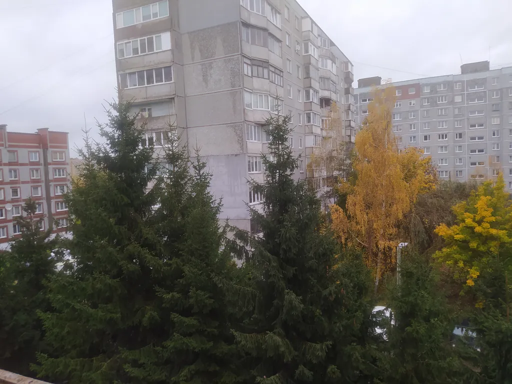 Квартира Уютная квартира возле парка — Калининград