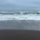 Сардаана