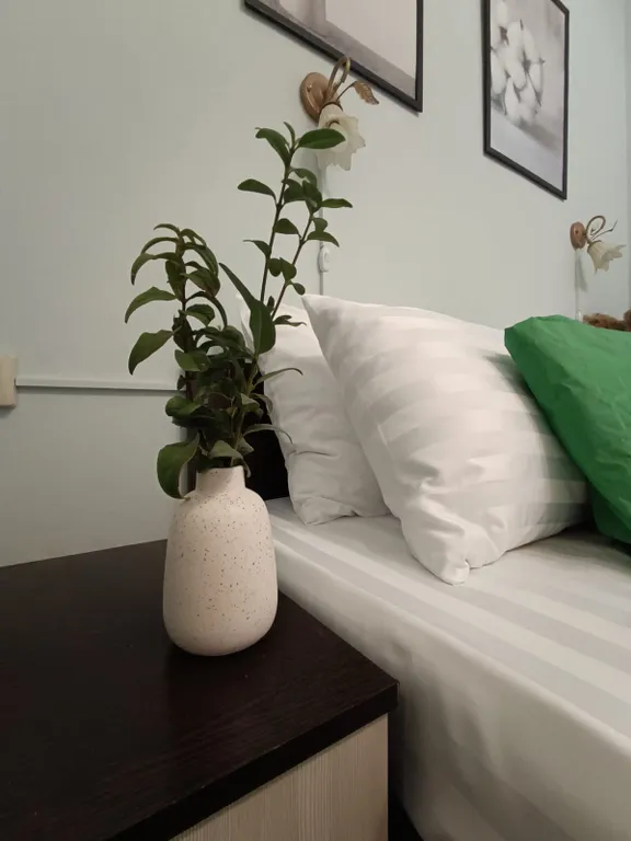 Квартира Квартира Уютная евродвушка у Мамаева Кургана — Волгоград