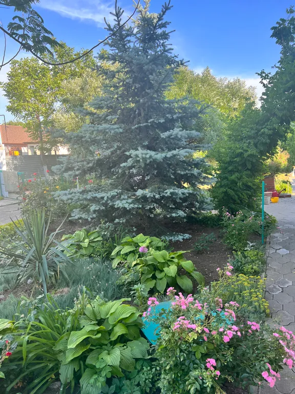 С бассейном рядом с морем