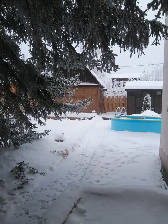 Уютный дом в хвойном саду на Кумысной поляне