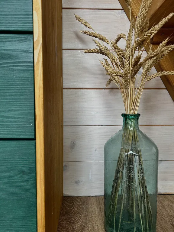 Стильный Афрейм-дом у леса