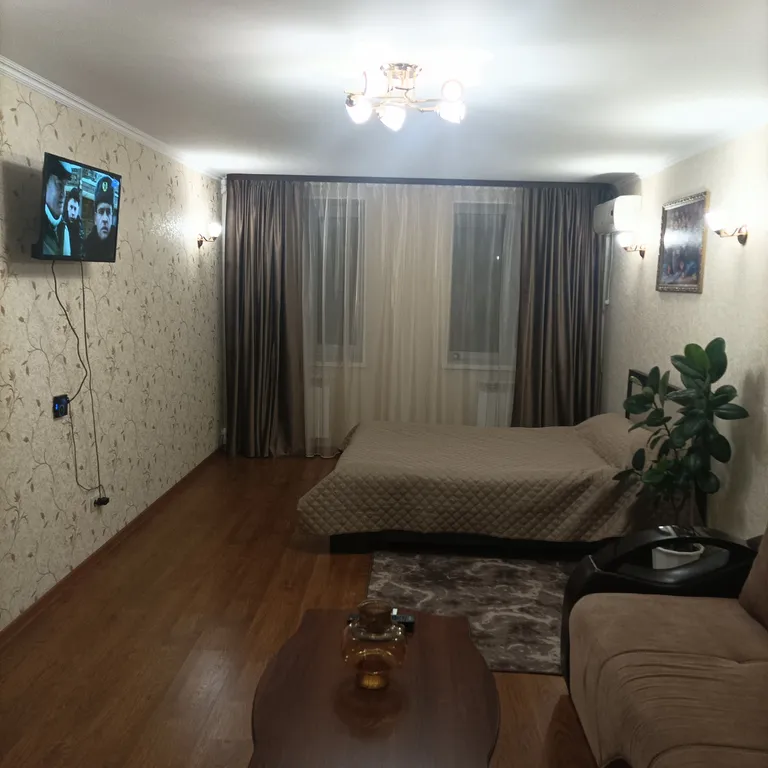 Большая и просторная 1-комнатная квартира