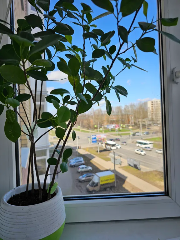 Хорошая квартира для хороших людей