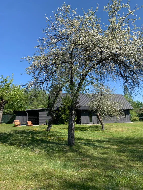 Шале Можжевеловое