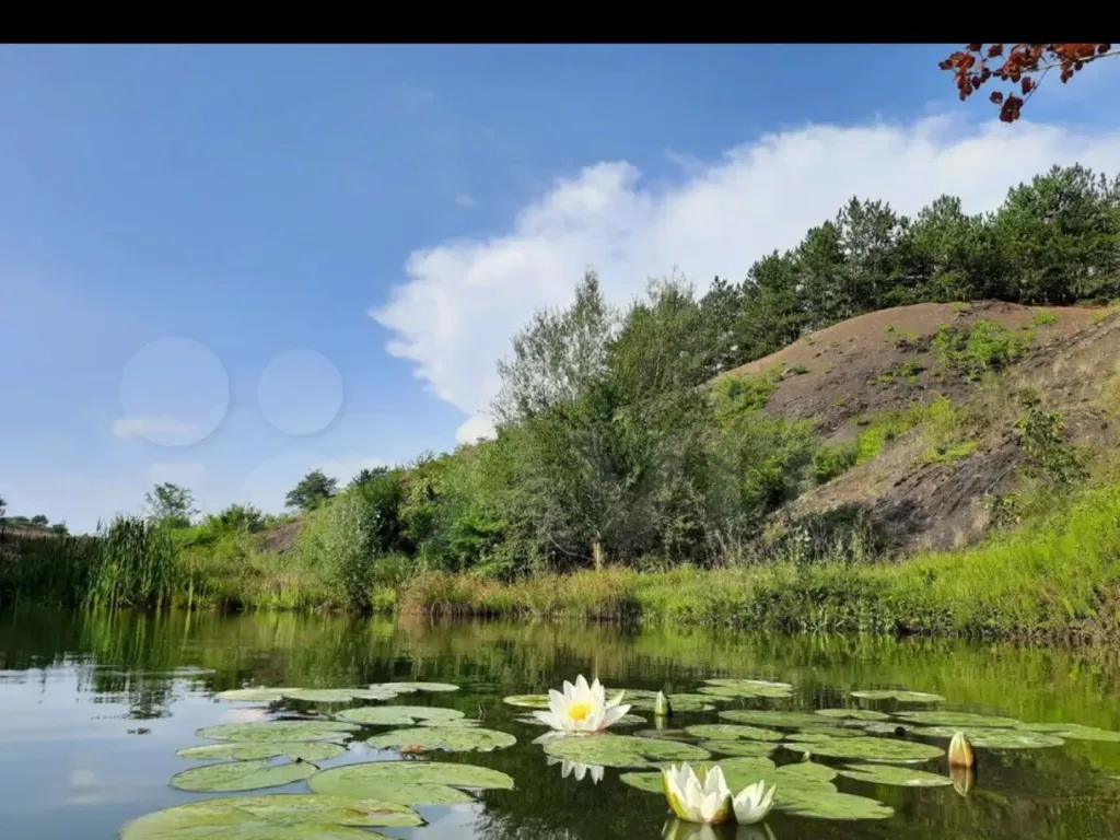 Отдых у озера