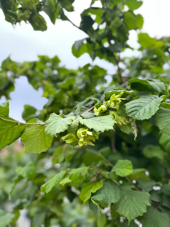 Дачный домик на берегу Каспия