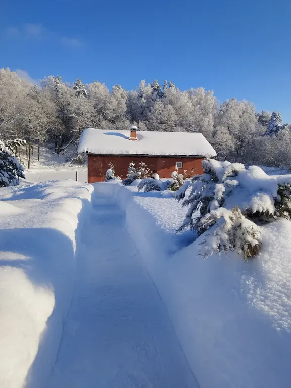 Уютный дом с русской баней на пруду у леса