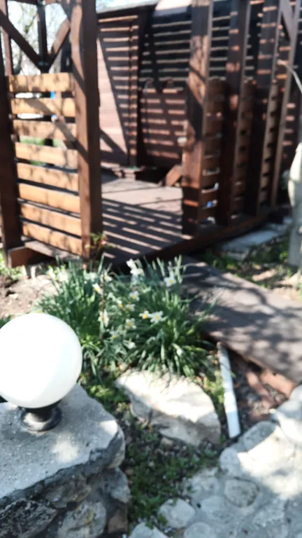 Бунгало на семерых