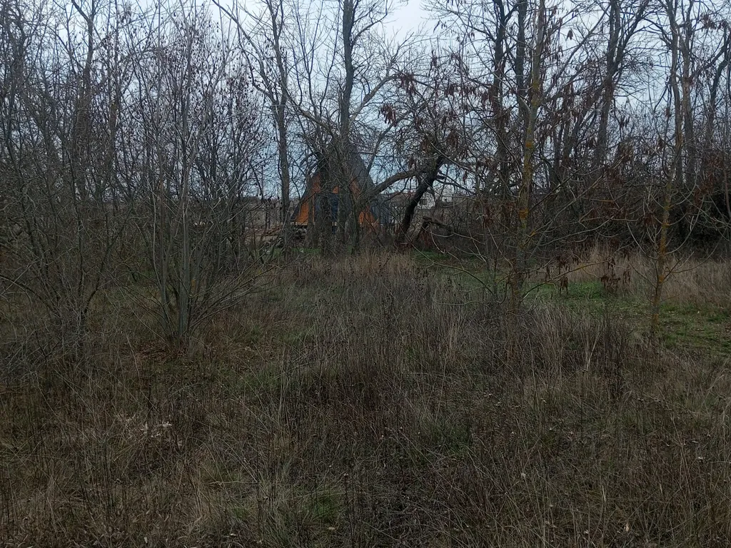 Уютный дом-шалаш