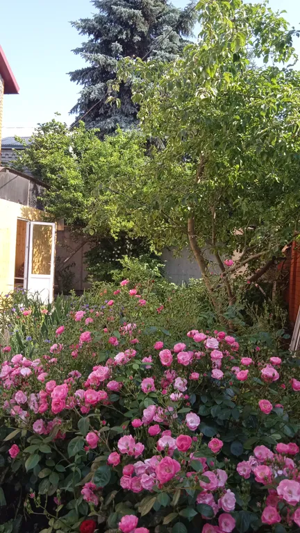 Замечательная студия