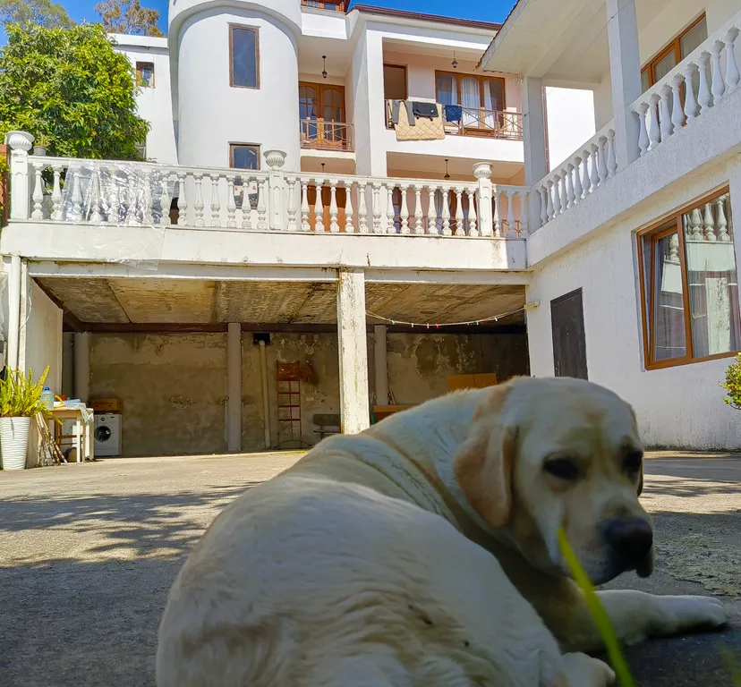 Квартира Комната — Гагра